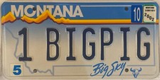 Vanity big pig for sale  USA