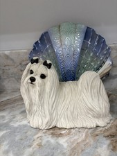 maltese mix for sale maltese mix for sale Jupiter