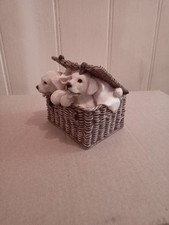 labrador retriever puppies for sale labrador retriever puppies for sale LONDON