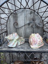 Handcrafted concrete shell for sale  DUNSTABLE