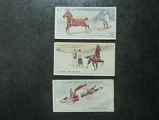 Lambert butler winter for sale  WETHERBY