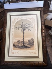 Palm tree lithograph for sale  Fallbrook