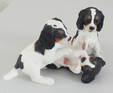 Cavalier king charles for sale  UK