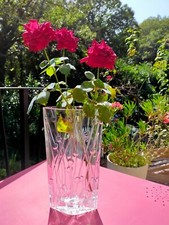 Grand vase ovale d'occasion  Noailhac