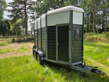 Wessex clubman horse for sale  TAUNTON