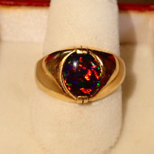 Gem black australian for sale  Princeton