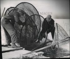 1953 press photo for sale  Memphis
