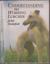Understanding working lurcher for sale  UK