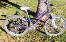 Girls series 220 for sale  Palmyra