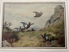 Archibald thorburn watercolour for sale  COVENTRY