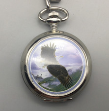 Agnew bald eagle for sale  Pflugerville