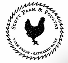 Heritage breed turkey for sale  Tremonton
