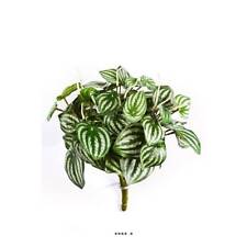 Peperomia artificiel vert d'occasion  France