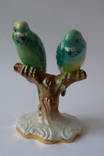 Limoges couple perruches d'occasion  Saint-Vit