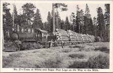 pine tree logs for sale pine tree logs for sale Burnsville