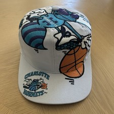 Rare charlotte hornets for sale  Elk Grove