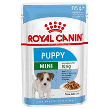 Mini puppy royal usato  Como