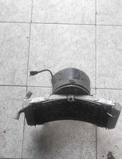 Radiatore max 500 usato  Roma