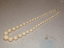 Angel skin coral for sale  North Royalton