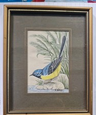 wagtail for sale  HIGH PEAK