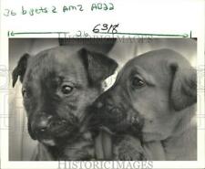 1986 press photo for sale  Memphis