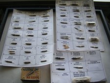Collection plumes boite d'occasion  Bordeaux-