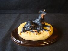 Doberman puppies heredities for sale  TADLEY
