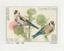 2019 italia repubblica usato  Budrio