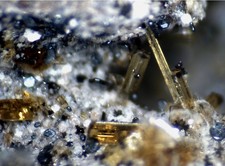 Amphibol phlogopit paulibg gebraucht kaufen  Oberstenfeld