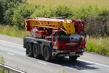 Crane photo 12x8 for sale  DYMOCK