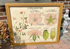 Ancienne affiche scolaire d'occasion  Haubourdin