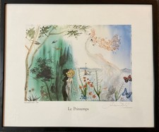 Salvador dalì primavera usato  Visciano