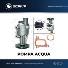 Pompa acqua fiat usato  Taurianova