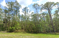 1.25 land deland for sale  North Port
