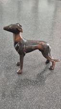 Chien levrier regul d'occasion  Aigrefeuille-d'Aunis