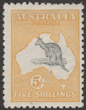 kangaroo for sale kangaroo for sale EDINBURGH