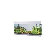 Askoll pure kit usato  Terlizzi