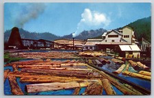 Redwood empire logs for sale  Paris