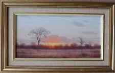 African sunset wim for sale  SKEGNESS