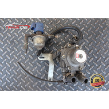 67r 010016 polmone usato  Italia