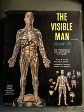 Visible man assembly for sale  Manlius