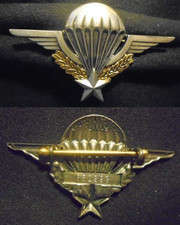 insigne militaire parachutiste d'occasion insigne militaire parachutiste d'occasion  Meung-sur-Loire