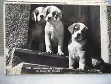 Pu01 0023 postcard for sale  SHEFFIELD