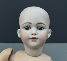Antique simon halbig for sale  Lynwood