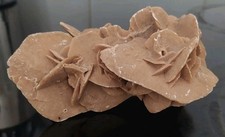Belle rose sables d'occasion  Nantes-