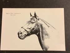 Man war photo for sale  Hometown