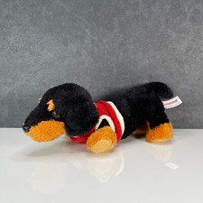 Aurora dachshund puppy for sale  ROTHERHAM
