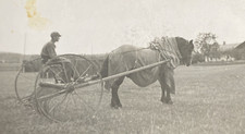 1935 farmer riding for sale  New Hartford