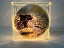 Glass block wavy for sale  Sapphire