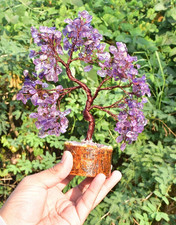 Arbre vie feng d'occasion  Expédié en France